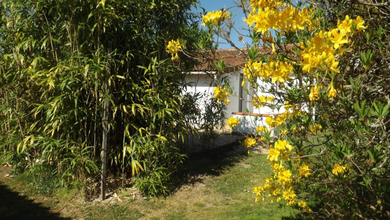 Breesfalt Gite Accomodation Villa Maisonnais-Sur-Tardoire Exterior foto